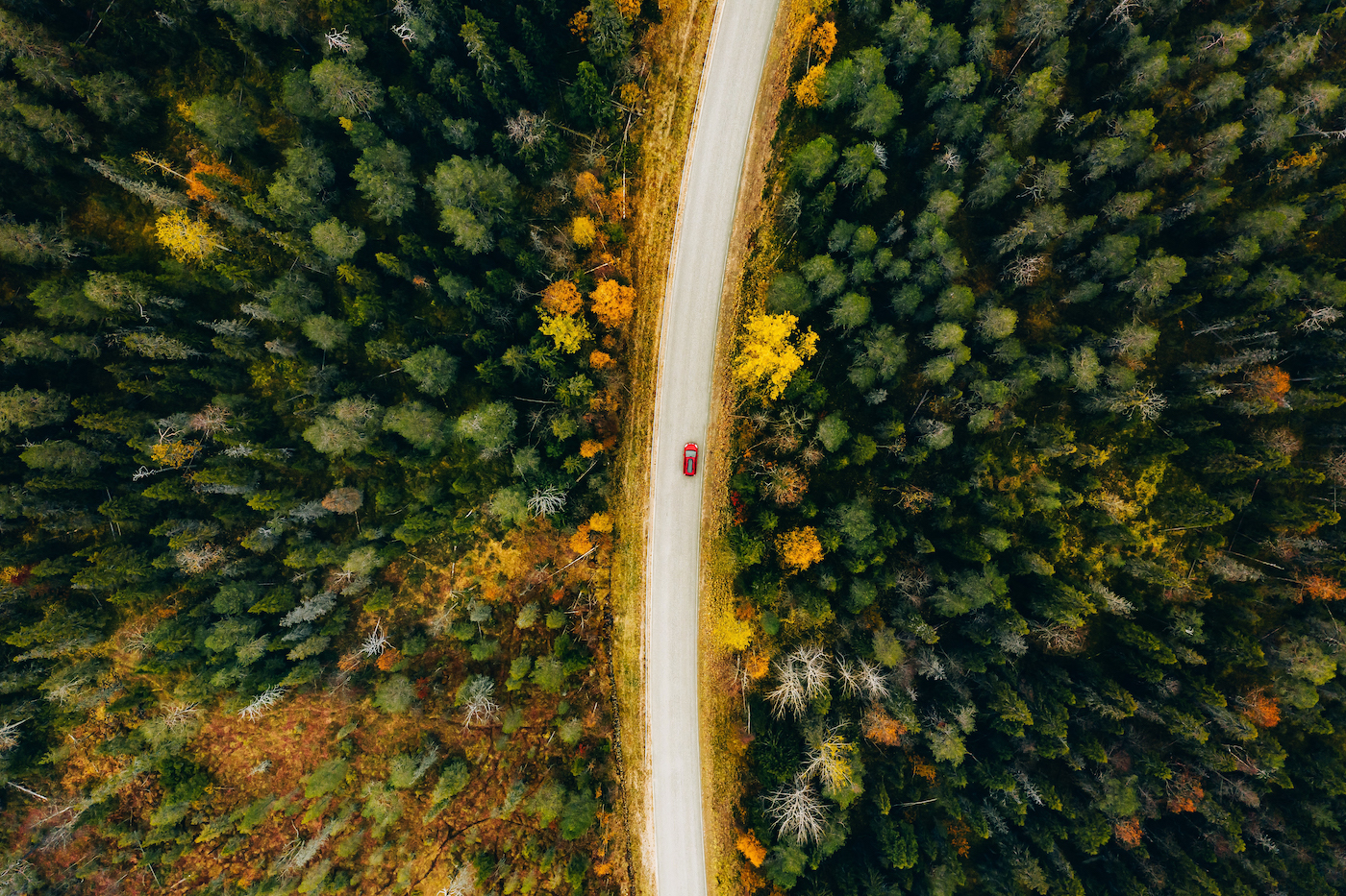 Aerial view of road cutting through a forest, representing expanded relationship between GoTo and Ingram Micro to Offer IT Support and Management on the Cloud Marketplace